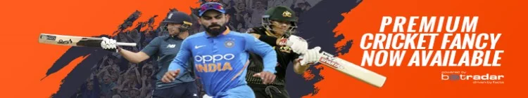 Cricket